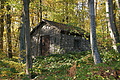 DSC07089 - Bernhard Saalfeld