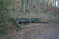 DSC07090 - Bernhard Saalfeld