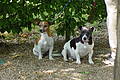 DSC00498 - Bernhard Saalfeld