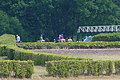 DSC00500 - Bernhard Saalfeld