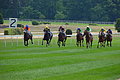 DSC00501 - Bernhard Saalfeld
