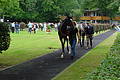 DSC00508 - Bernhard Saalfeld