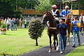 DSC00511 - Bernhard Saalfeld