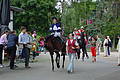 DSC00517 - Bernhard Saalfeld