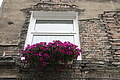 DSC03341 - Bernhard Saalfeld