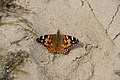 DSC03405 - Bernhard Saalfeld