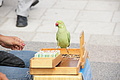 DSC03411 - Bernhard Saalfeld