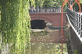DSC03454 - Bernhard Saalfeld