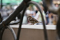 DSC03471 - Bernhard Saalfeld