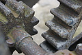 DSC03489 - Bernhard Saalfeld
