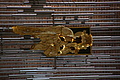 DSC03543 - Bernhard Saalfeld