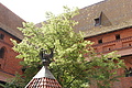 DSC03620 - Bernhard Saalfeld