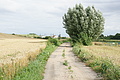DSC03641 - Bernhard Saalfeld