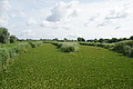 DSC03669 - Bernhard Saalfeld