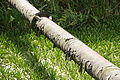 DSC03672 - Bernhard Saalfeld