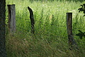 DSC03680 - Bernhard Saalfeld