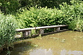DSC03701 - Bernhard Saalfeld