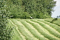 DSC03712 - Bernhard Saalfeld