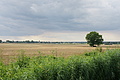 DSC03717 - Bernhard Saalfeld