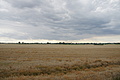 DSC03723 - Bernhard Saalfeld