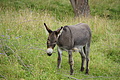 DSC03726 - Bernhard Saalfeld