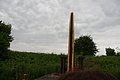DSC03731 - Bernhard Saalfeld