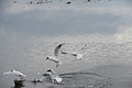 DSC03737 - Bernhard Saalfeld