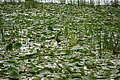 DSC03739 - Bernhard Saalfeld