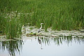 DSC03740 - Bernhard Saalfeld