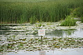 DSC03741 - Bernhard Saalfeld
