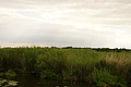 DSC03745 - Bernhard Saalfeld