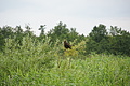DSC03746 - Bernhard Saalfeld
