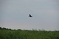 DSC03747 - Bernhard Saalfeld