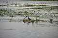 DSC03752 - Bernhard Saalfeld