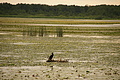 DSC03753 - Bernhard Saalfeld