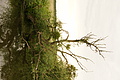 DSC03762 - Bernhard Saalfeld
