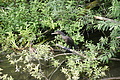 DSC03763 - Bernhard Saalfeld