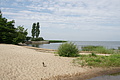 DSC03781 - Bernhard Saalfeld