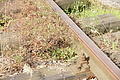 DSC03784 - Bernhard Saalfeld