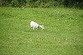 DSC03790 - Bernhard Saalfeld