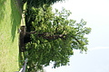 DSC03792 - Bernhard Saalfeld