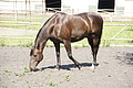 DSC03794 - Bernhard Saalfeld