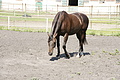 DSC03795 - Bernhard Saalfeld