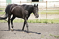 DSC03796 - Bernhard Saalfeld