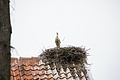 DSC03805 - Bernhard Saalfeld