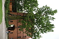 DSC03828 - Bernhard Saalfeld