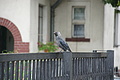 DSC03832 - Bernhard Saalfeld