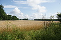 DSC03857 - Bernhard Saalfeld