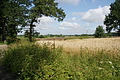 DSC03858 - Bernhard Saalfeld