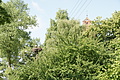 DSC03861 - Bernhard Saalfeld
